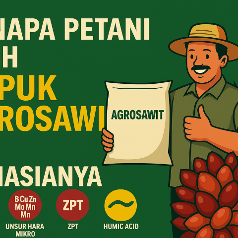 Kenapa Petani Pilih Pupuk Agrosawit? Ini Rahasianya!