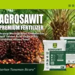 agrosawit
